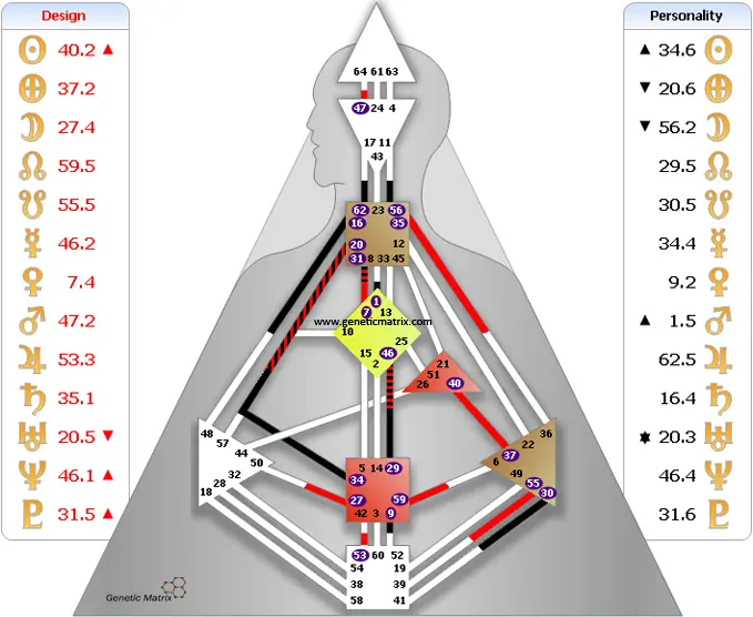 האם אתם ג’נרטורים? – 66 אחוז מהאוכלוסיה – Human design - Image 5 האם אתם ג’נרטורים? – 66 אחוז מהאוכלוסיה – Human design - Image 5