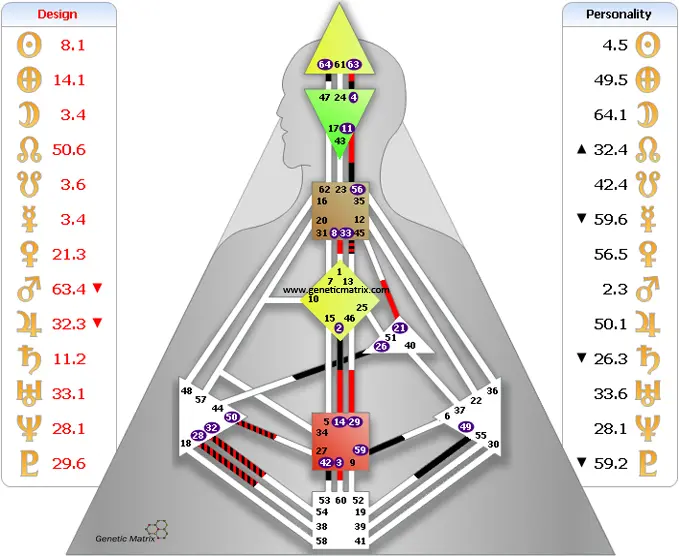 האם אתם ג’נרטורים? – 66 אחוז מהאוכלוסיה – Human design - Image 2 האם אתם ג’נרטורים? – 66 אחוז מהאוכלוסיה – Human design - Image 2