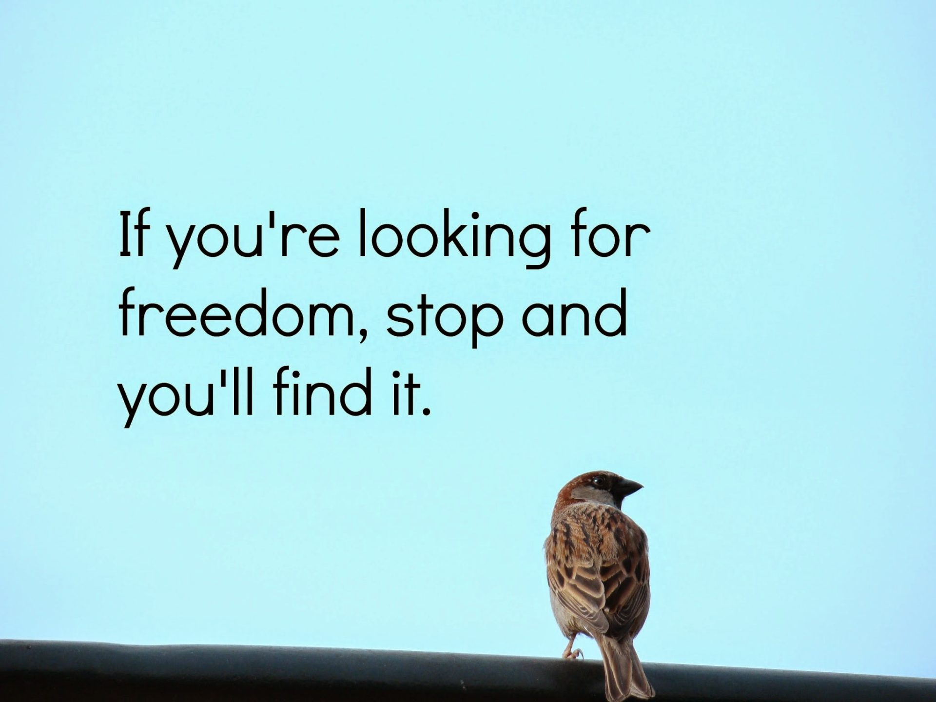 freedom