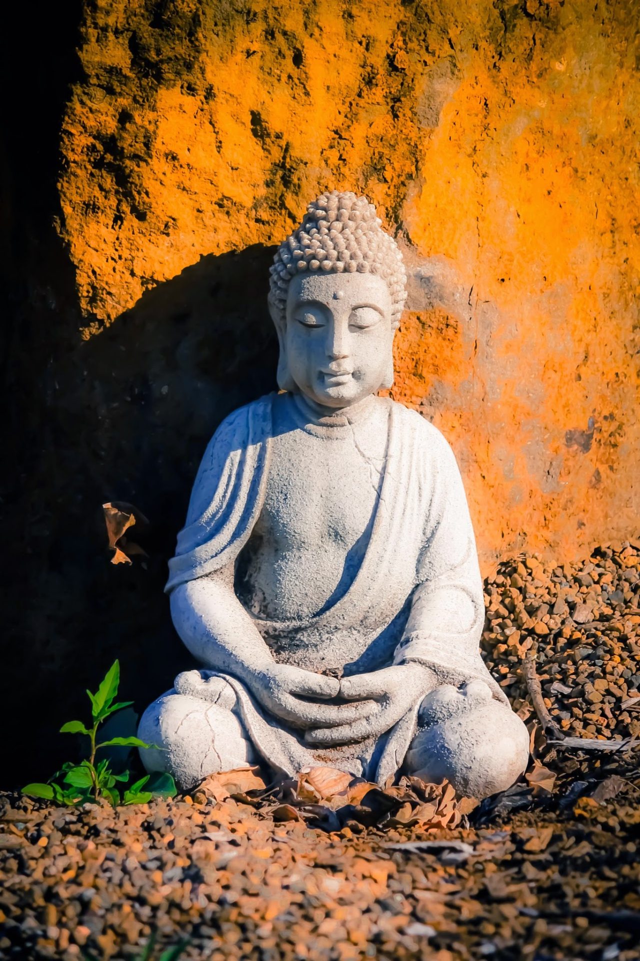 Buddha-9897