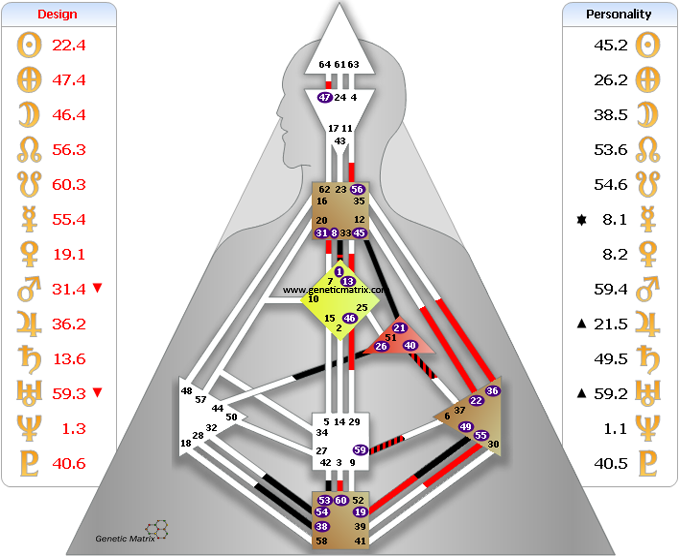 האם אתם מניפסטורים? – 9 אחוז מהאוכלוסיה – Human design - Image 2 האם אתם מניפסטורים? – 9 אחוז מהאוכלוסיה – Human design - Image 2